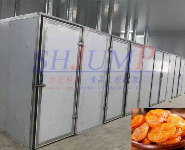 Dried Apricot Processing Production Line