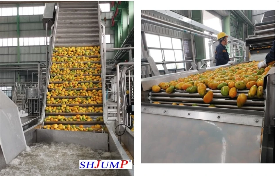 Mango washing machine