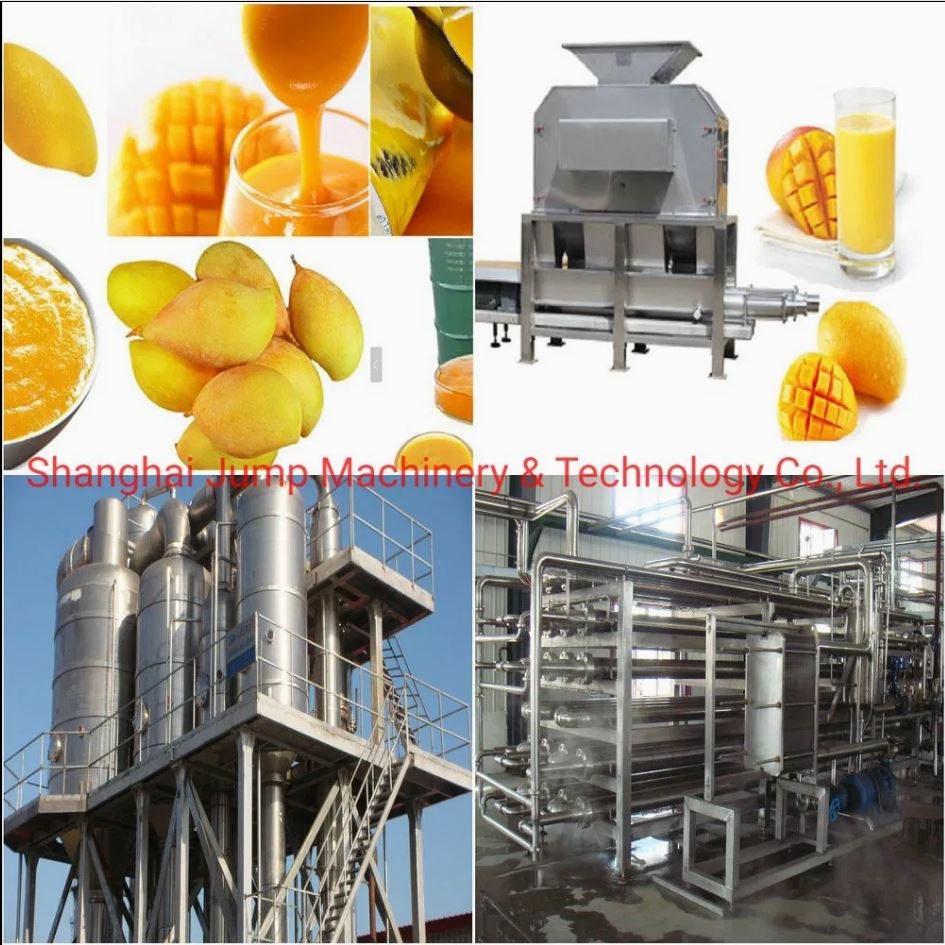 Mango Pwosesis Liy
