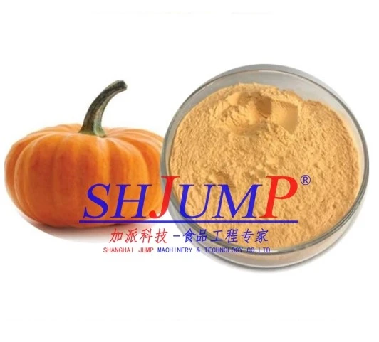 pumpkin powder pumpkin powder