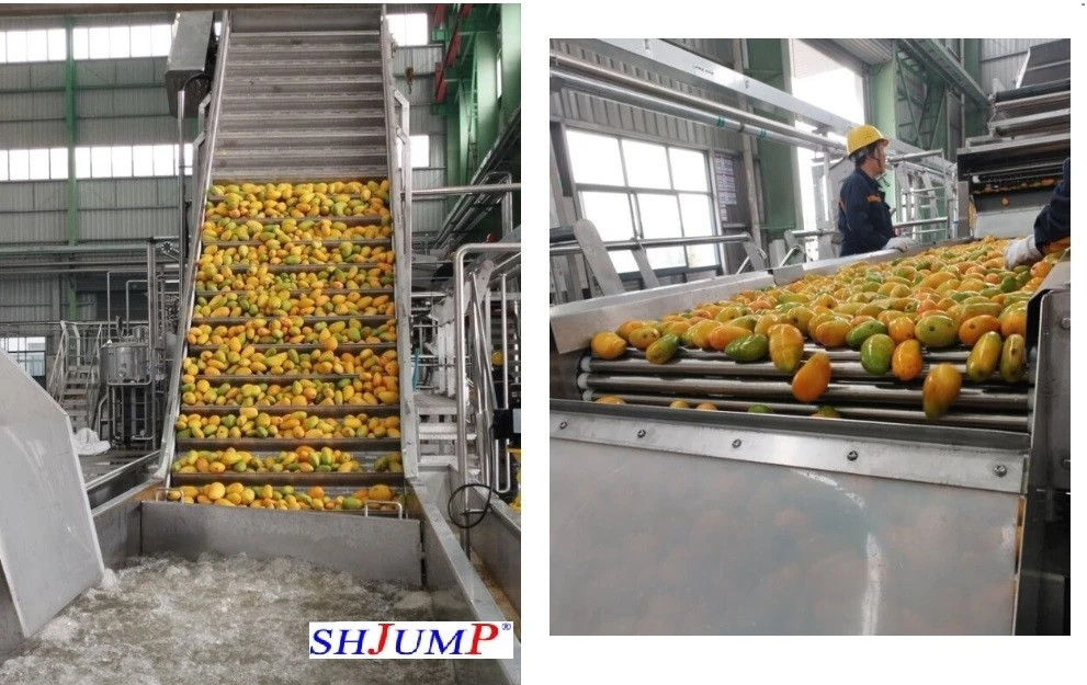 mango wash platform machine mango wash platform machine