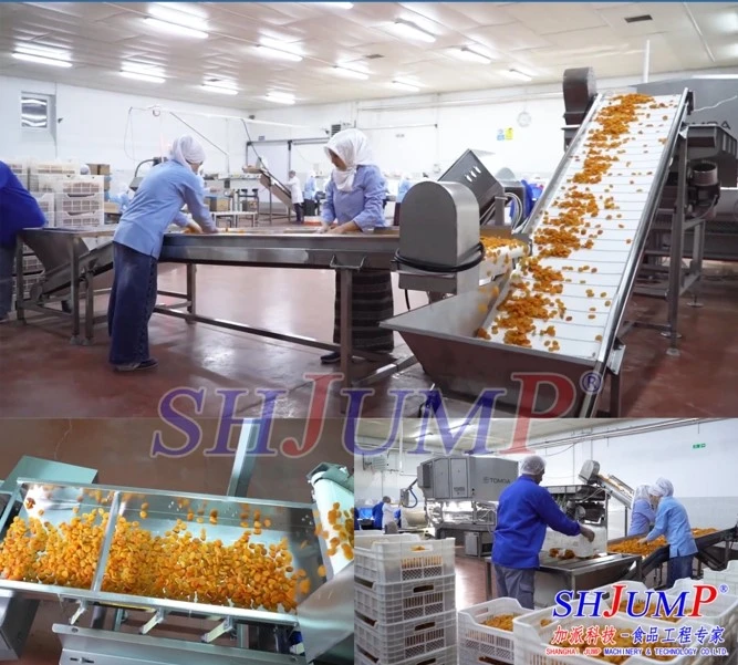 dried apricot3